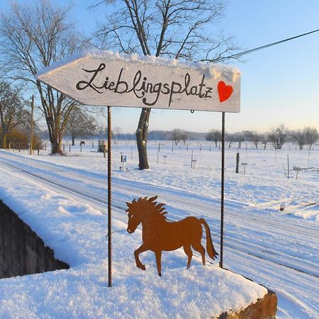 Ferienwohnung Auf Pferdehof Dreetz エクステリア 写真