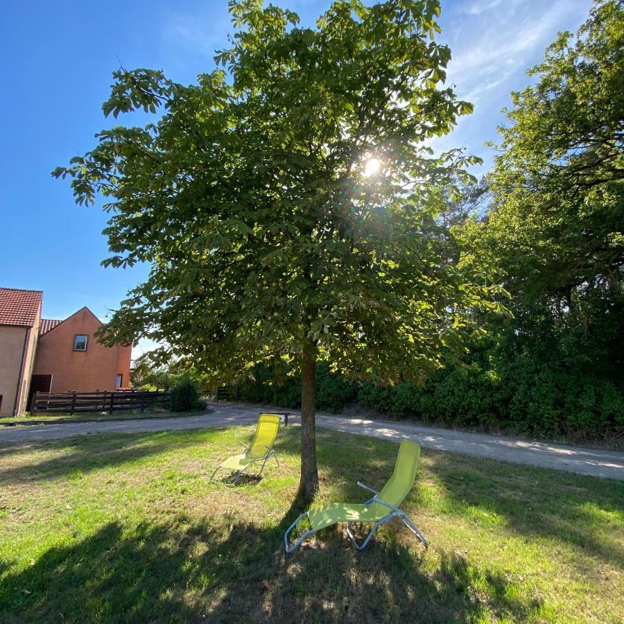 Ferienwohnung Auf Pferdehof Dreetz エクステリア 写真