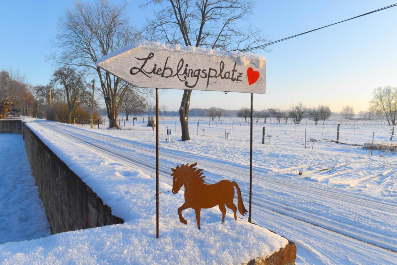 Ferienwohnung Auf Pferdehof Dreetz エクステリア 写真