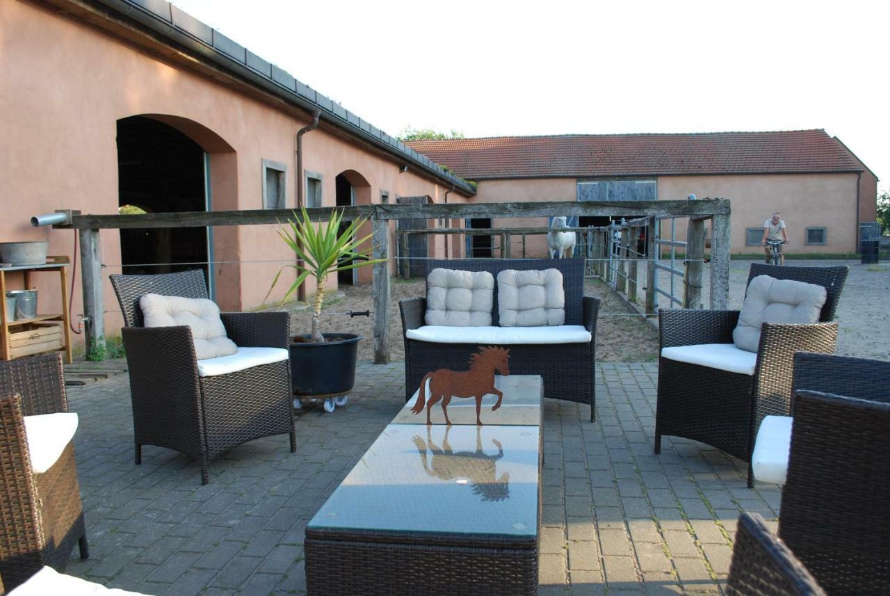 Ferienwohnung Auf Pferdehof Dreetz エクステリア 写真