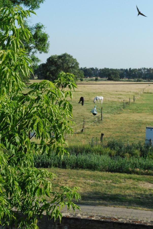 Ferienwohnung Auf Pferdehof Dreetz エクステリア 写真