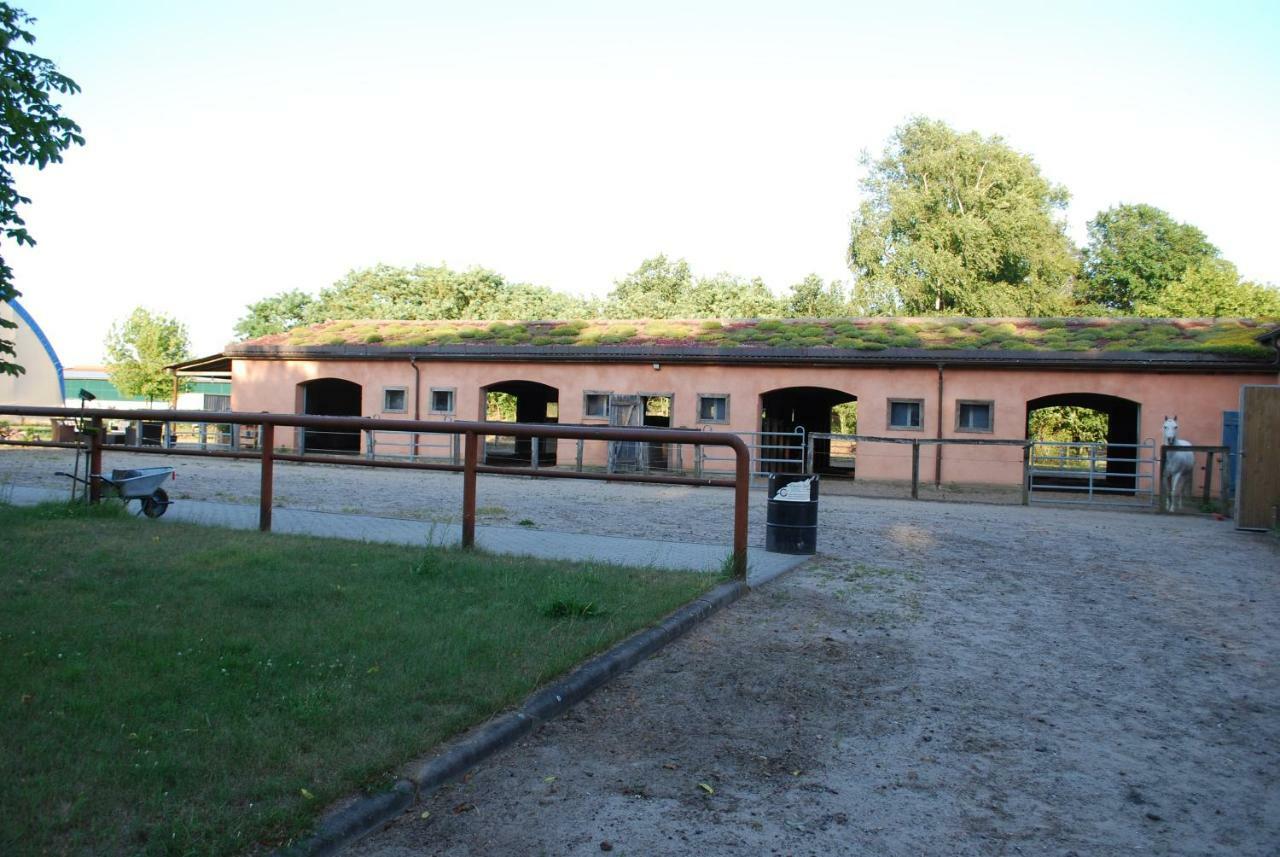 Ferienwohnung Auf Pferdehof Dreetz エクステリア 写真