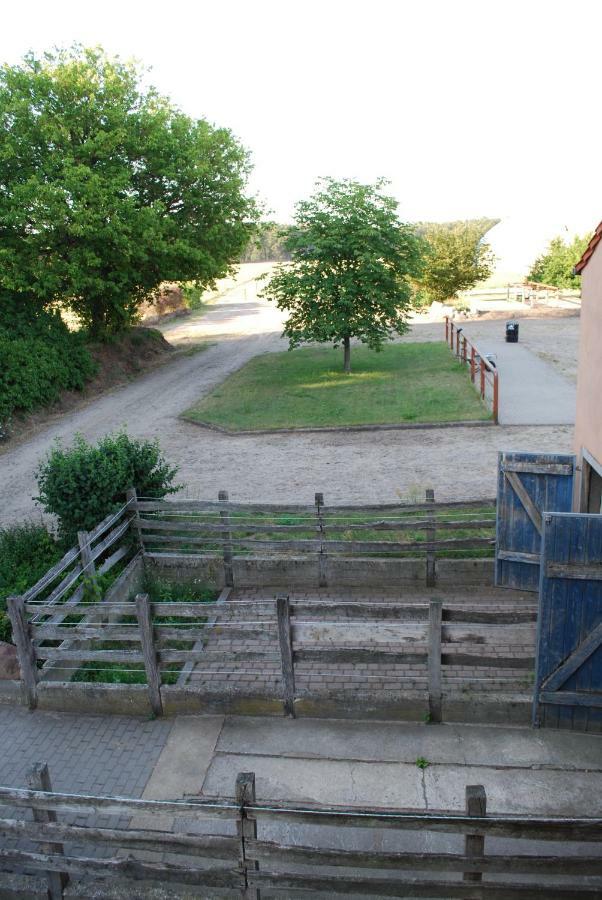 Ferienwohnung Auf Pferdehof Dreetz エクステリア 写真